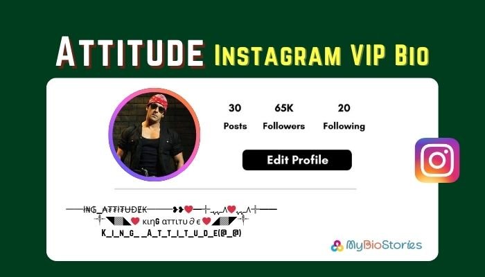160+ Instagram VIP Bio Attitude (Boys, Girls, Stylish, Emoji & More)