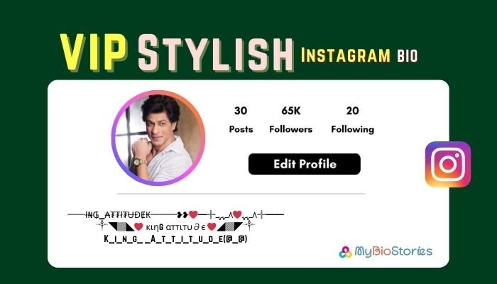 300+ Instagram VIP Bio Stylish Font: Love, Sad, Attitude Boy & Girl