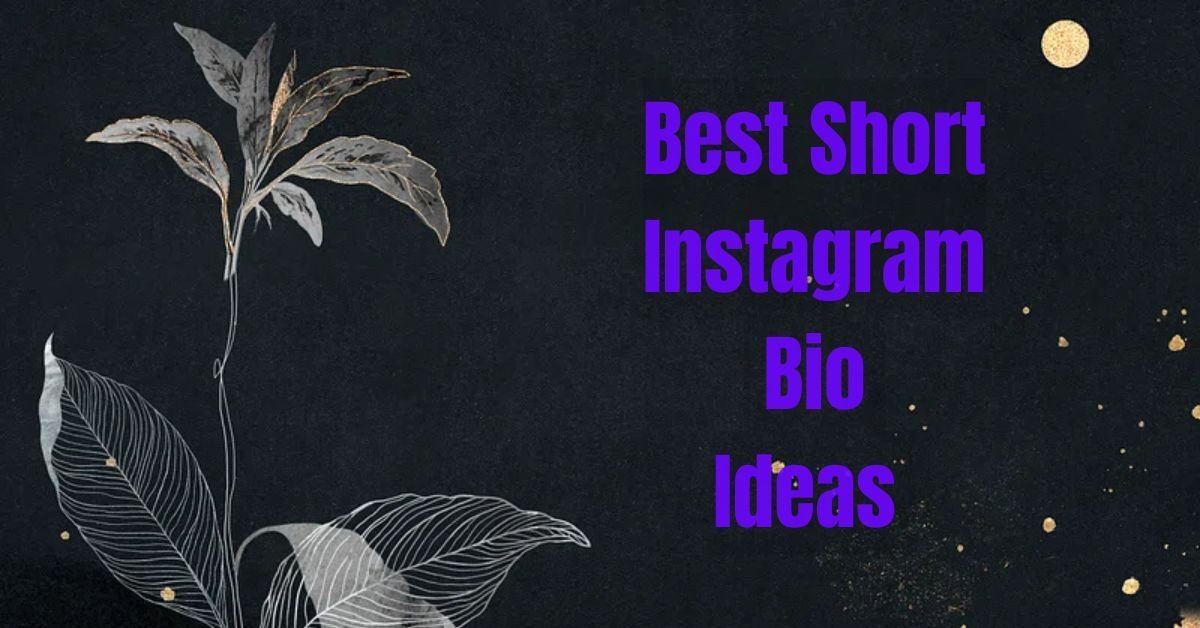 Best short Instagram bio ideas – cute, stylish, and trendy bios for Instagram profiles