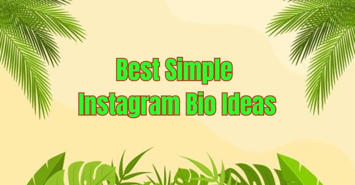 Best simple Instagram bio ideas – minimalist, stylish, and easy-to-use bios for Instagram profiles